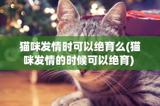 貓咪發情時可以絕育么(貓咪發情的時候可以絕育) 