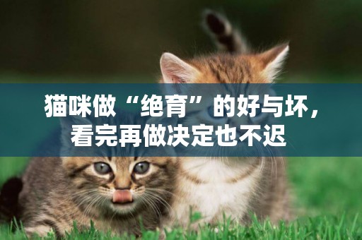 貓咪做“絕育”的好與壞，看完再做決定也不遲 