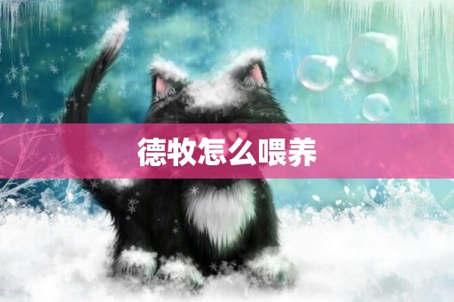 德牧怎么喂養