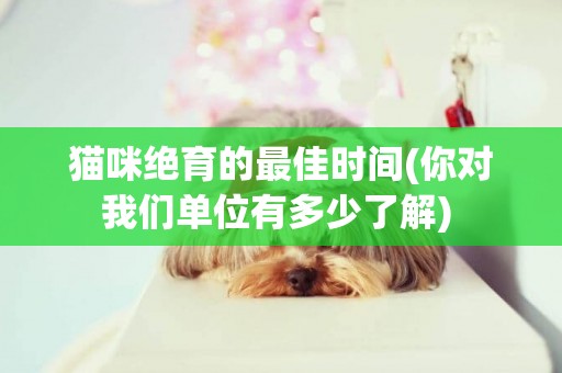 貓咪絕育的最佳時間(你對我們單位有多少了解) 