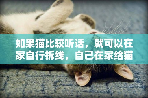 如果貓比較聽話，就可以在家自行拆線，自己在家給貓拆線怎么處理 