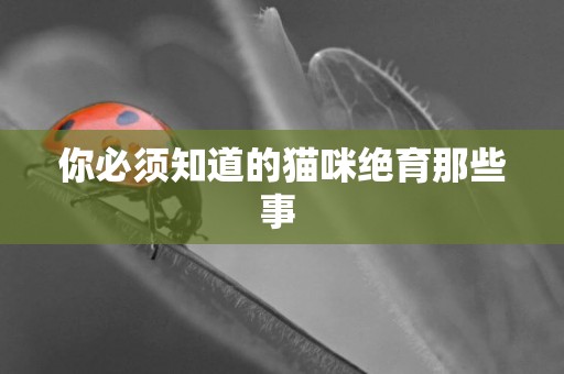 你必須知道的貓咪絕育那些事 