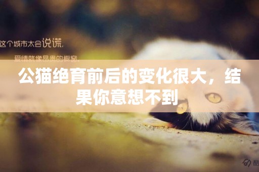 公貓絕育前后的變化很大，結果你意想不到 