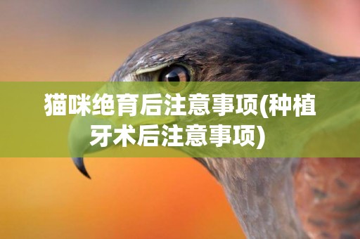 貓咪絕育后注意事項(種植牙術后注意事項) 