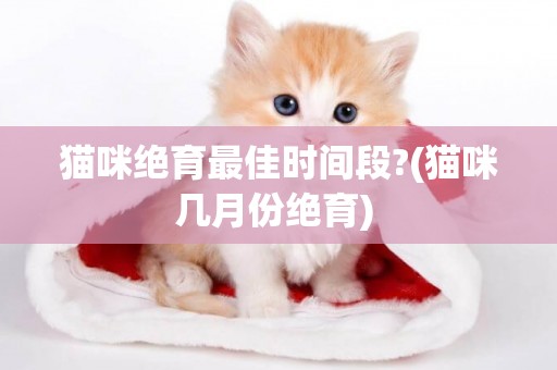 貓咪絕育最佳時間段?(貓咪幾月份絕育) 