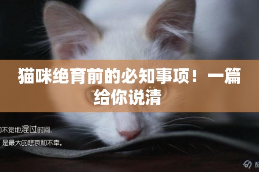 貓咪絕育前的必知事項！一篇給你說清 