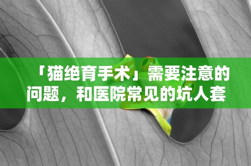 「貓絕育手術」需要注意的問題，和醫院常見的坑人套路，非常詳細 