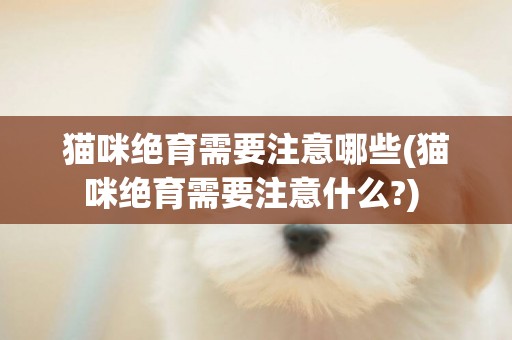 貓咪絕育需要注意哪些(貓咪絕育需要注意什么?) 
