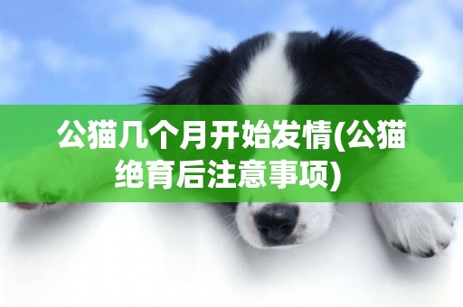公貓幾個月開始發情(公貓絕育后注意事項) 