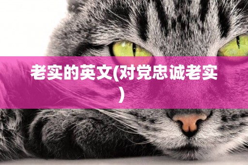 老實的英文(對黨忠誠老實) 