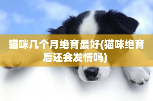 貓咪幾個月絕育最好(貓咪絕育后還會發情嗎) 