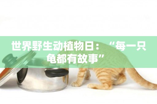 世界野生動植物日：“每一只龜都有故事” 