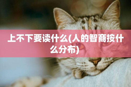 上不下要讀什么(人的智商按什么分布) 