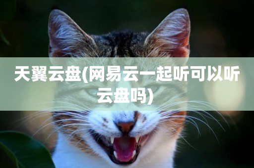 天翼云盤(網易云一起聽可以聽云盤嗎) 