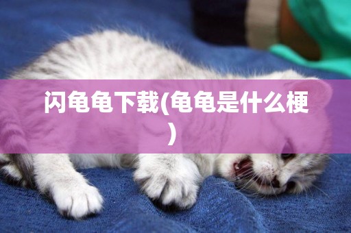 閃龜龜下載(龜龜是什么梗) 