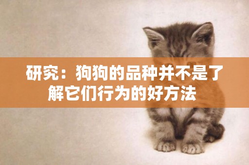 研究：狗狗的品種并不是了解它們行為的好方法 
