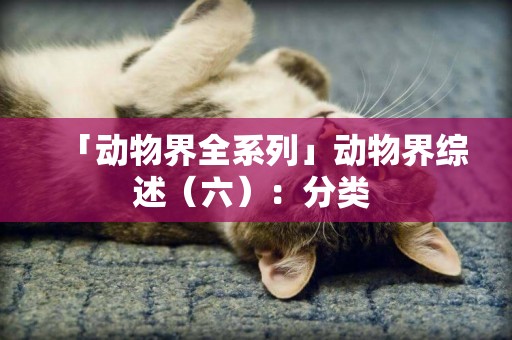 「動物界全系列」動物界綜述（六）：分類 