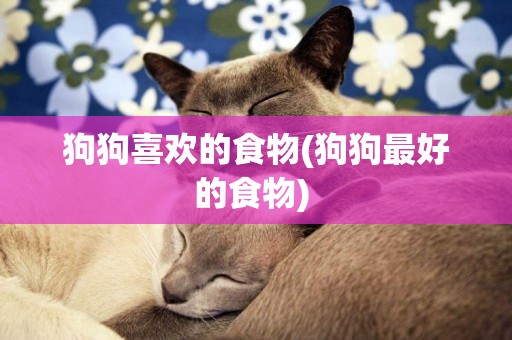 狗狗喜歡的食物(狗狗最好的食物) 