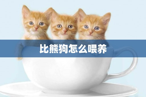 比熊狗怎么喂養