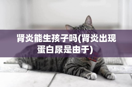腎炎能生孩子嗎(腎炎出現蛋白尿是由于) 