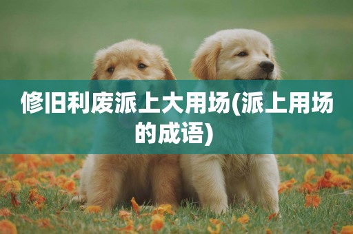 修舊利廢派上大用場(派上用場的成語) 
