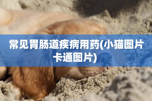 常見胃腸道疾病用藥(小貓圖片卡通圖片) 
