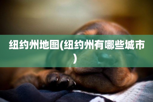 紐約州地圖(紐約州有哪些城市) 