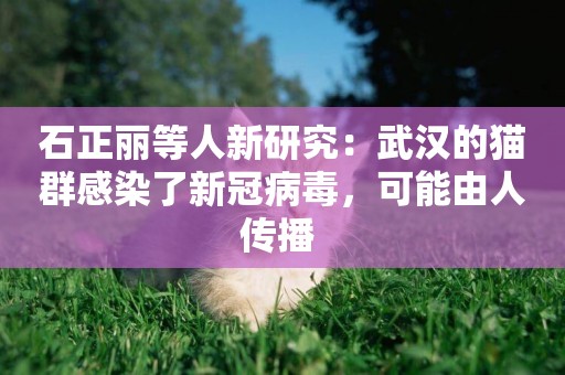 石正麗等人新研究：武漢的貓群感染了新冠病毒，可能由人傳播 
