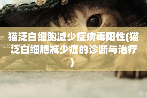 貓泛白細胞減少癥病毒陽性(貓泛白細胞減少癥的診斷與治療) 