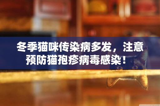 冬季貓咪傳染病多發，注意預防貓孢疹病毒感染！ 