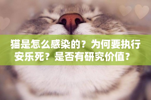貓是怎么感染的？為何要執行安樂死？是否有研究價值？ 