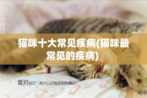 貓咪十大常見疾病(貓咪最常見的疾病) 