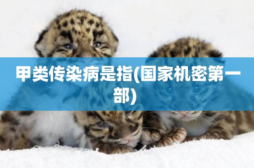 甲類傳染病是指(國家機密第一部) 