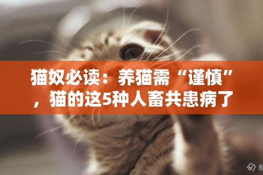 貓奴必讀：養貓需“謹慎”，貓的這5種人畜共患病了解一下。 