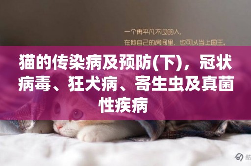 貓的傳染病及預防(下)，冠狀病毒、狂犬病、寄生蟲及真菌性疾病 