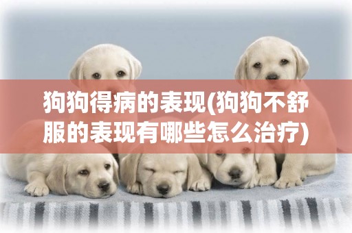狗狗得病的表現(狗狗不舒服的表現有哪些怎么治療) 