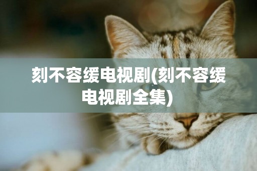 刻不容緩電視劇(刻不容緩電視劇全集) 