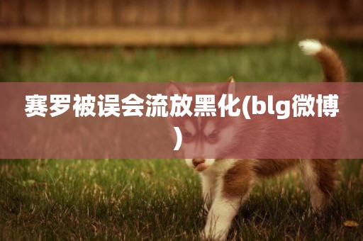 賽羅被誤會流放黑化(blg微博) 