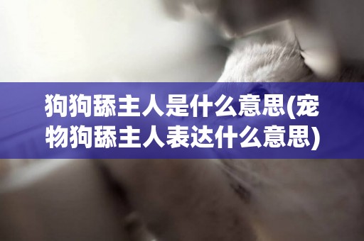 狗狗舔主人是什么意思(寵物狗舔主人表達什么意思) 