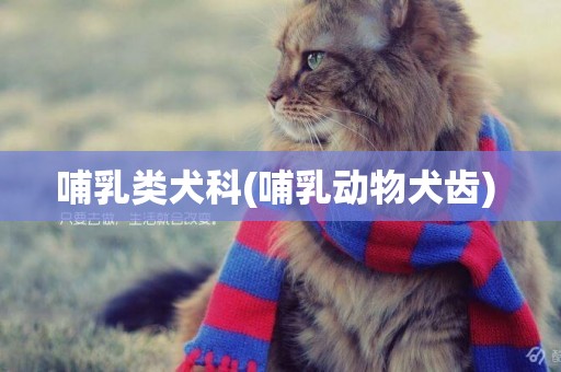 哺乳類犬科(哺乳動物犬齒) 