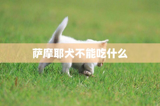 薩摩耶犬不能吃什么