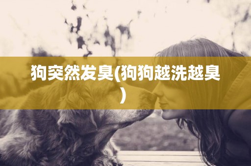 狗突然發臭(狗狗越洗越臭) 