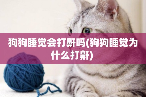 狗狗睡覺會打鼾嗎(狗狗睡覺為什么打鼾) 