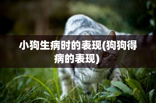小狗生病時的表現(狗狗得病的表現) 