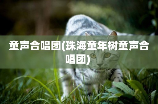 童聲合唱團(珠海童年樹童聲合唱團) 