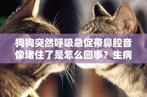 狗狗突然呼吸急促帶鼻腔音像堵住了是怎么回事？生病了嗎 