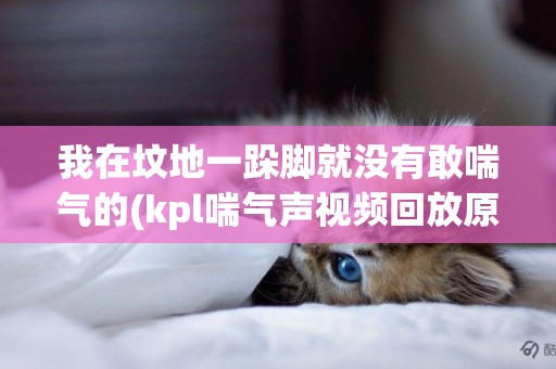 我在墳地一跺腳就沒有敢喘氣的(kpl喘氣聲視頻回放原聲) 