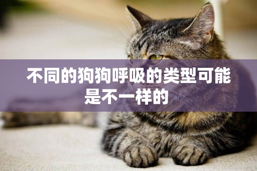 不同的狗狗呼吸的類型可能是不一樣的 
