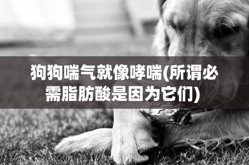 狗狗喘氣就像哮喘(所謂必需脂肪酸是因為它們) 