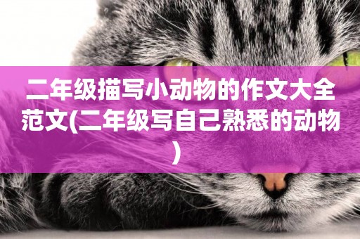 二年級描寫小動物的作文大全范文(二年級寫自己熟悉的動物) 